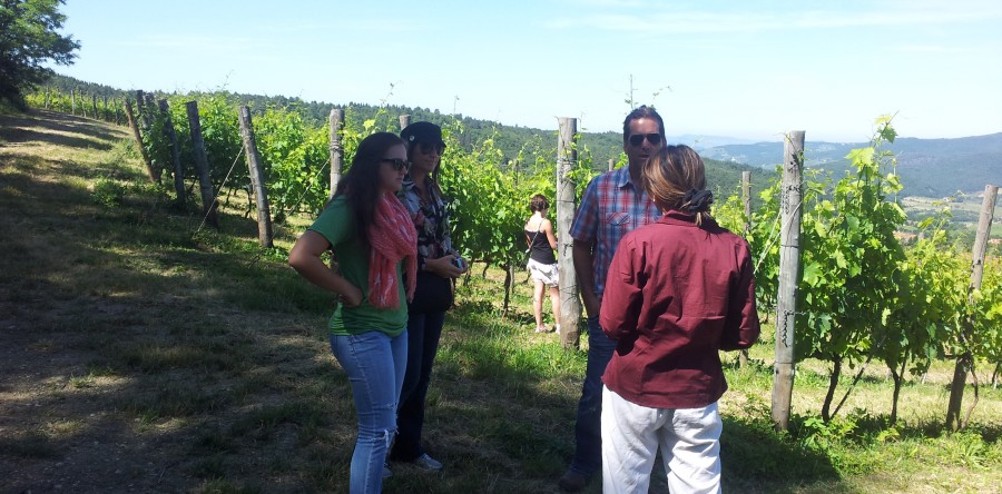 Chianti Wine Tasting Tour