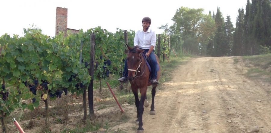 HORSEBACK RIDING IN CHIANTI